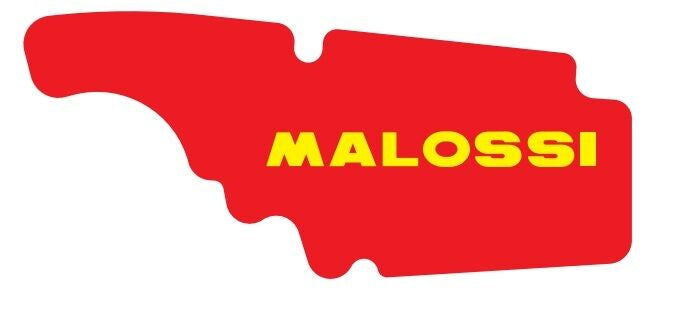 Elemento filtrante de aire Malossi Red Sponge | Vespa 4T
