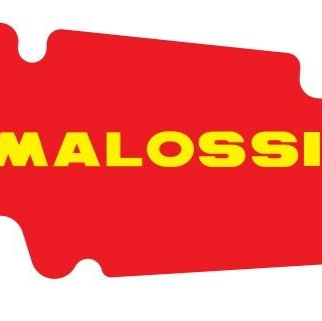 Elemento filtrante de aire Malossi Red Sponge | Vespa 4T 