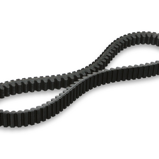 Correa MALOSSI XK para maxi scooter (22,6x13x834 mm 28°)