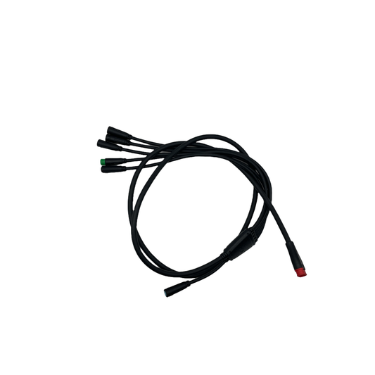 Arnés de cableado - V20