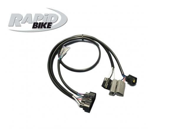KIT DE UNIDAD DE CONTROL RAPID BIKE EVO KTM 1290 SUPER DUKE GT 2016-2020 