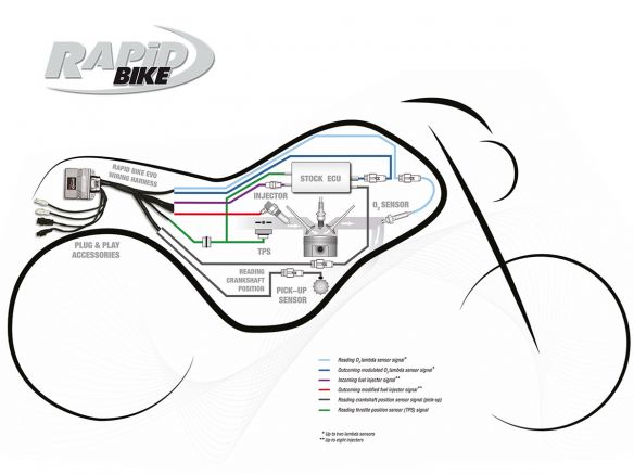 KIT DE UNIDAD DE CONTROL RAPID BIKE EVO KTM 1290 SUPER DUKE GT 2016-2020 